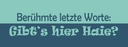 Holzschild 10x27 cm Berühmte letzte Worte Gibt´s Haie