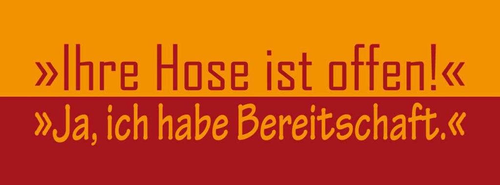 Holzschild 10x27 cm Ihre Hose ist offen Dekoration