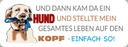 Holzschild 10x27 cm und dann kam da ein Hund Tier Haustier