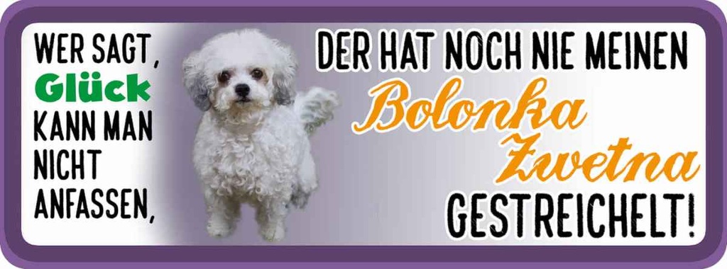 Holzschild 10x27 cm nie Bolonka Zwetna Hund gestreichelt Tier Haustier