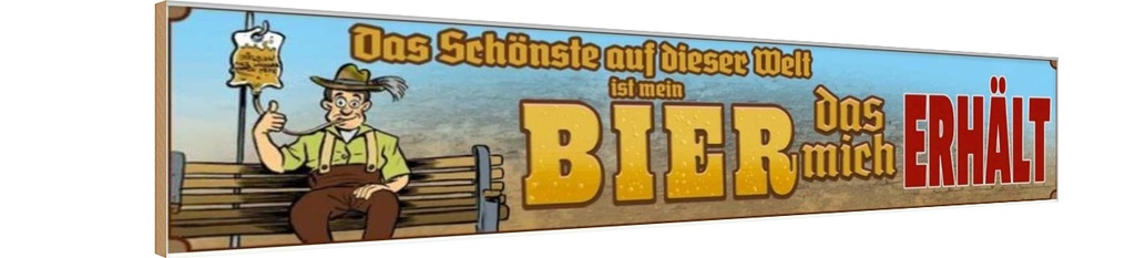 Holzschild 10x46 cm das schönste auf dieser Welt mein Bier Spruch Zitat