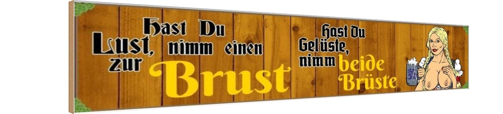 Holzschild 10x46 cm hast du Lust nimm einen zur Brust Bier Spruch Zitat