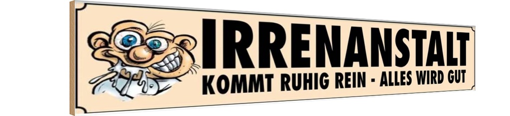 Holzschild 10x46 cm Irrenanstalt kommt ruhig rein Dekoration