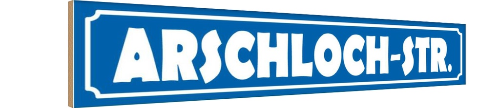 Holzschild 10x46 cm Arschloch Straße Stadt