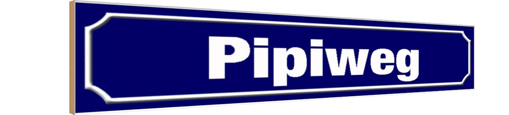 Holzschild 10x46 cm Pipiweg