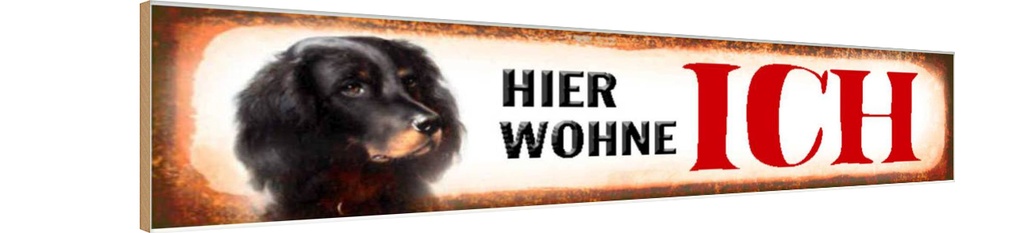 Holzschild 10x46 cm Spaniel Hund hier wohne Tier Haustier