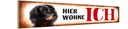 Holzschild 10x46 cm Spaniel Hund hier wohne Tier Haustier