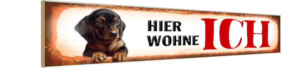 Holzschild 10x46 cm Dackel Hund hier wohne Tier Haustier