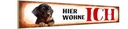 Holzschild 10x46 cm Dackel Hund hier wohne Tier Haustier