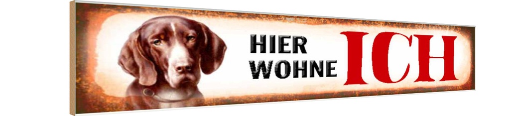 Holzschild 10x46 cm Beagle Hund hier wohne Tier Haustier
