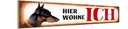 Holzschild 10x46 cm Dobermann Hund hier wohne Tier Haustier
