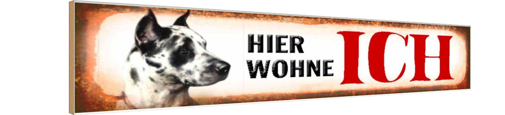 Holzschild 10x46 cm Dogge Hund hier wohne ich Tier Haustier
