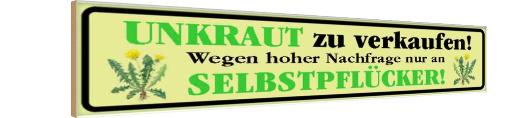 Holzschild 10x46 cm Unkraut zu verkaufen nur an Warnschild Hinweisschild