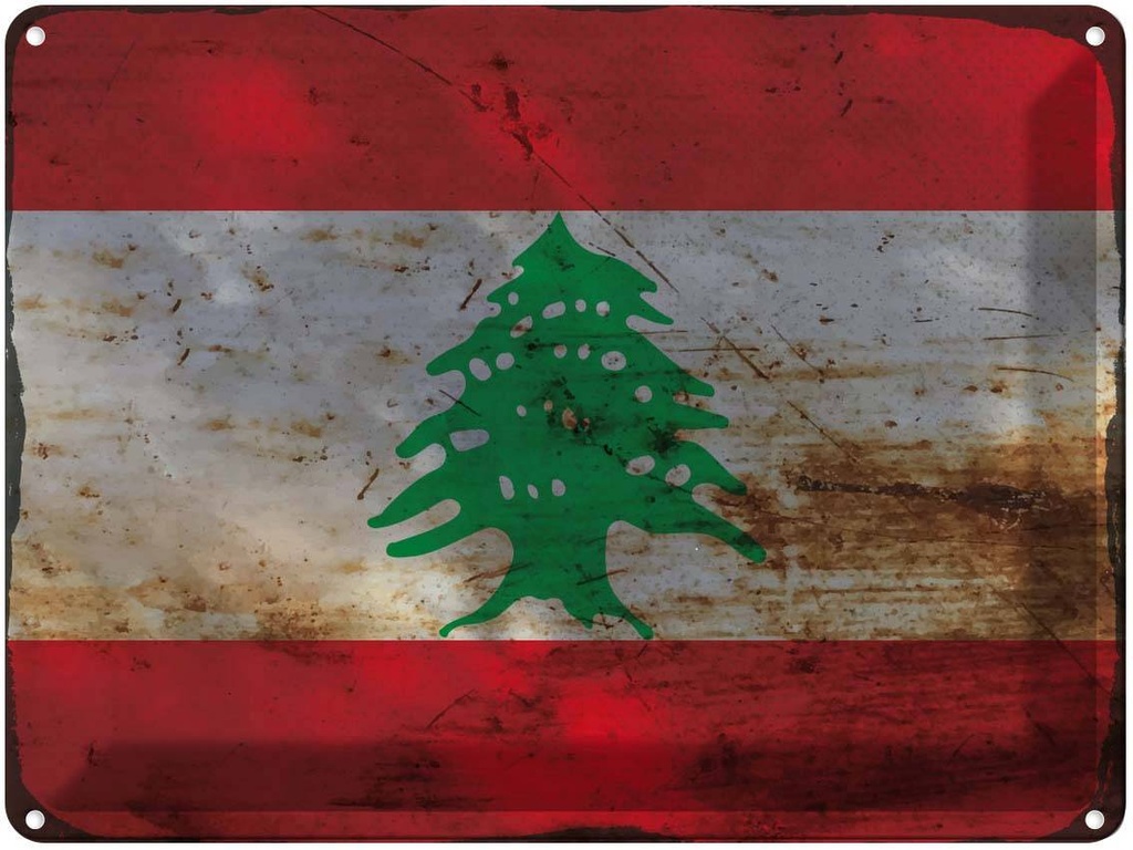 Blechschild 30x40 cm Libanon Lebanon Flagge Fahne Wappen