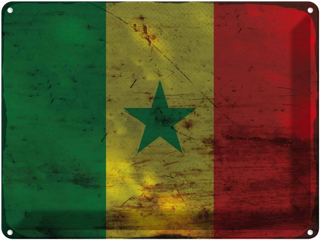 Blechschild 30x40 cm Senegal Flagge Fahne Wappen