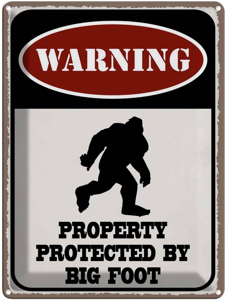 Blechschild 40x30 cm Warning property protected by Warnschild Hinweisschild Sicherheit Vorsicht