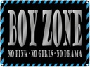 Blechschild 30x40 cm Boy Zone no pink girls drama Dekoration