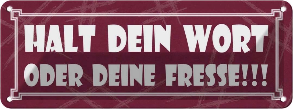 Blechschild 10x27 cm Halt dein Wort oder deine Fresse Spruch Zitat