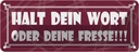 Blechschild 10x27 cm Halt dein Wort oder deine Fresse Spruch Zitat