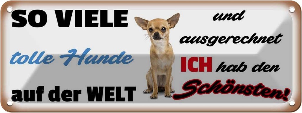 Blechschild 10x27 cm ich hab den schönsten Hund Tier Haustier