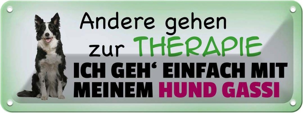 Blechschild 10x27 cm mit Hund Gassi gehen Tier Haustier
