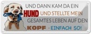 Blechschild 10x27 cm und dann kam da ein Hund Tier Haustier