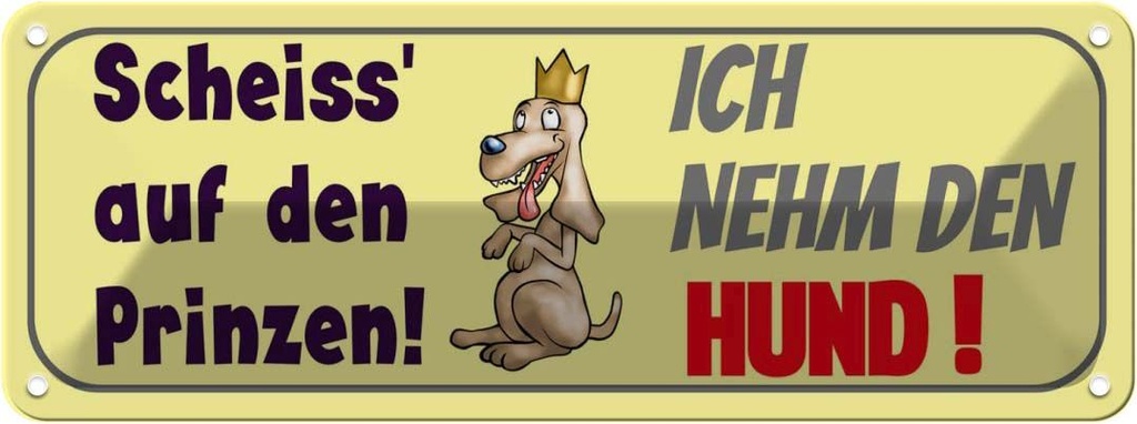 Blechschild 10x27 cm Scheiß auf den Prinzen Dekoration Spruch Zitat