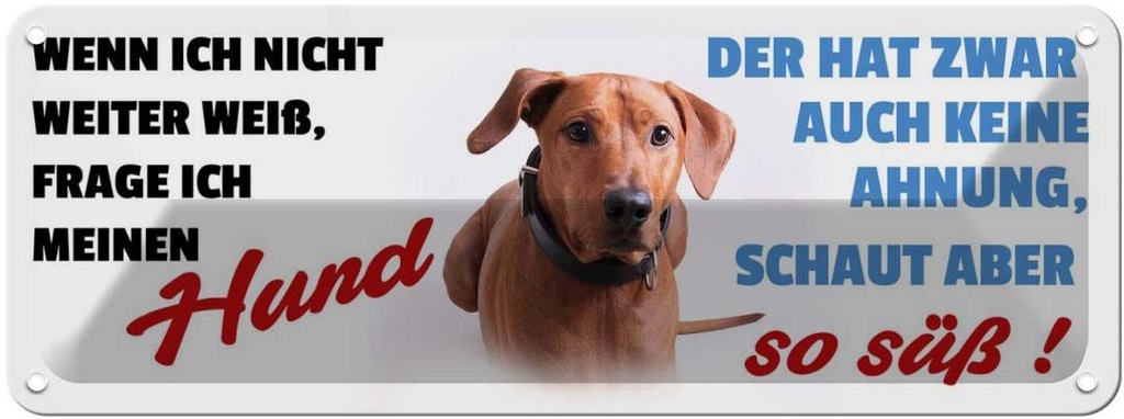 Blechschild 10x27 cm Hund schaut aber so süß Tier Haustier