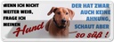 Blechschild 10x27 cm Hund schaut aber so süß Tier Haustier
