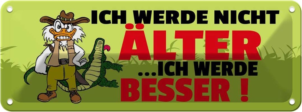 Blechschild 10x27 cm Ich werde nicht älter besser Spruch Zitat