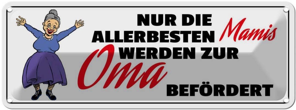 Blechschild 10x27 cm zur Oma befördert Opa Spruch Zitat