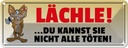 Blechschild 10x27 cm Lächle Du kannst nicht alle töten Spruch Zitat