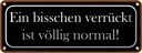 Blechschild 10x27 cm ein bisschen verrückt ist normal Spruch Zitat