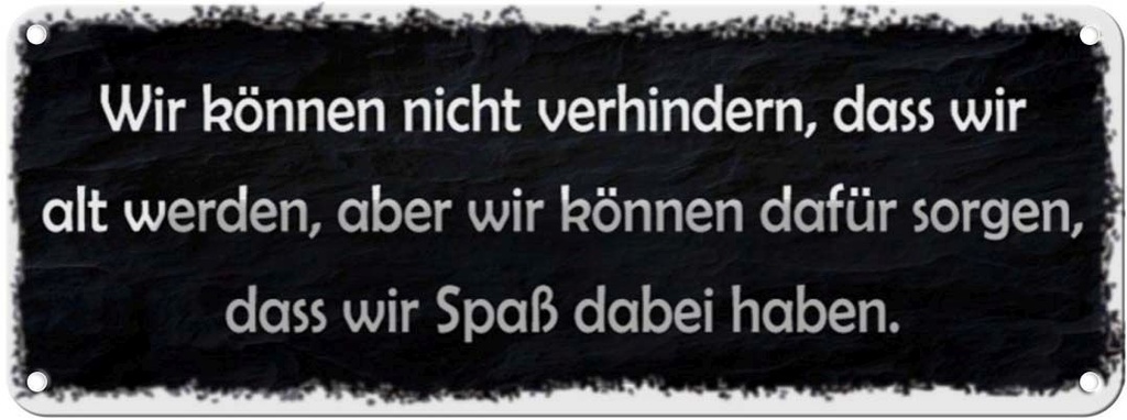 Blechschild 10x27 cm nicht verhindern dass wir alt Dekoration Spruch Zitat