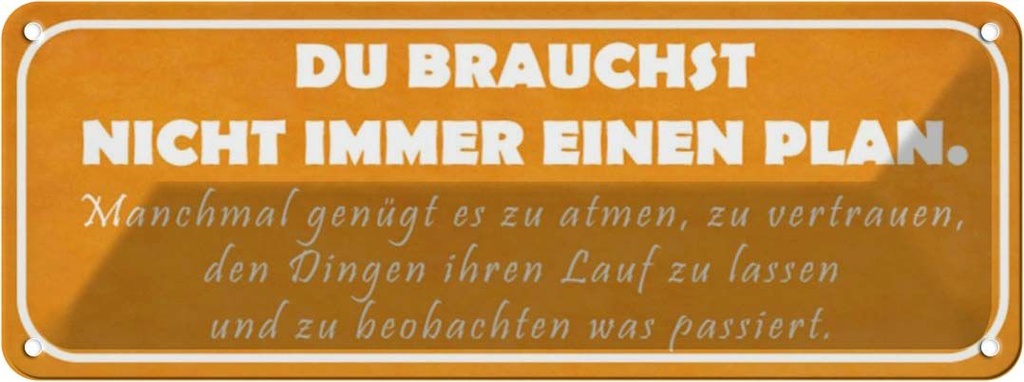 Blechschild 10x27 cm du brauchst nicht immer Plan Dekoration Spruch Zitat