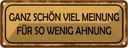 Blechschild 10x27 cm ganz schön viel Meinung für so Dekoration Spruch Zitat