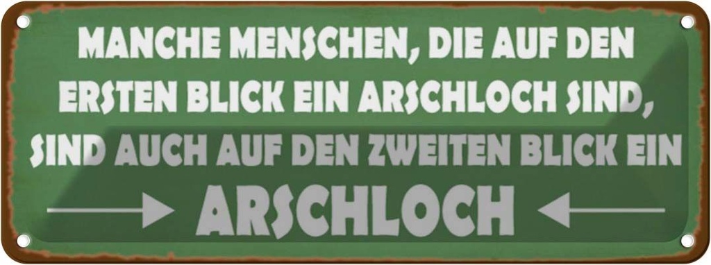 Blechschild 10x27 cm manche Menschen Arschloch Spruch Zitat