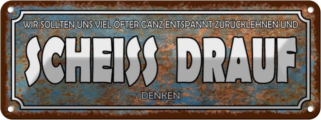 Blechschild 10x27 cm wir sollten Scheiss drauf denken Spruch Zitat