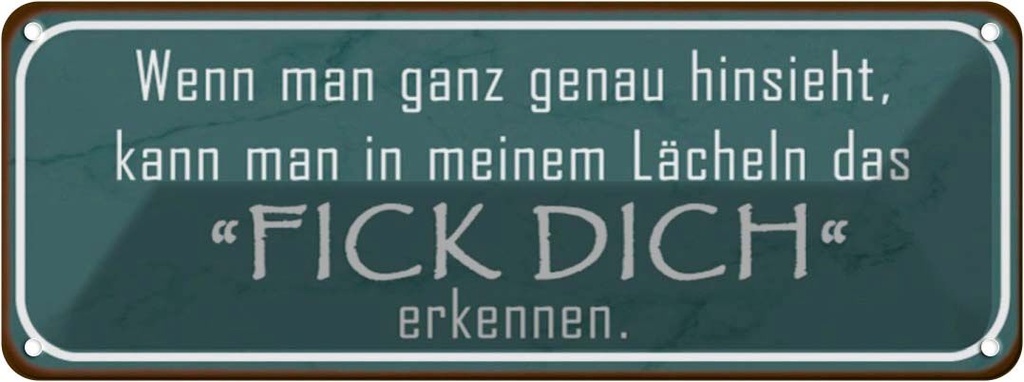 Blechschild 10x27 cm in meinem Lächeln Fick Dich Dekoration Spruch Zitat