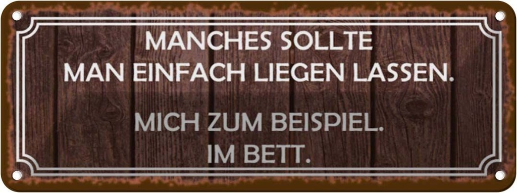 Blechschild 10x27 cm manches sollte man liegen lassen Spruch Zitat