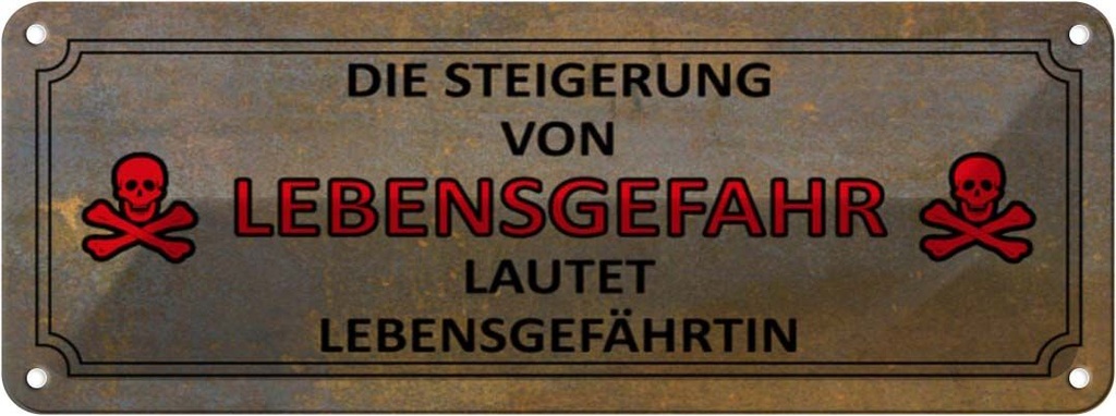 Blechschild 10x27 cm von Lebensgefahr Lebensgefährtin Spruch Zitat