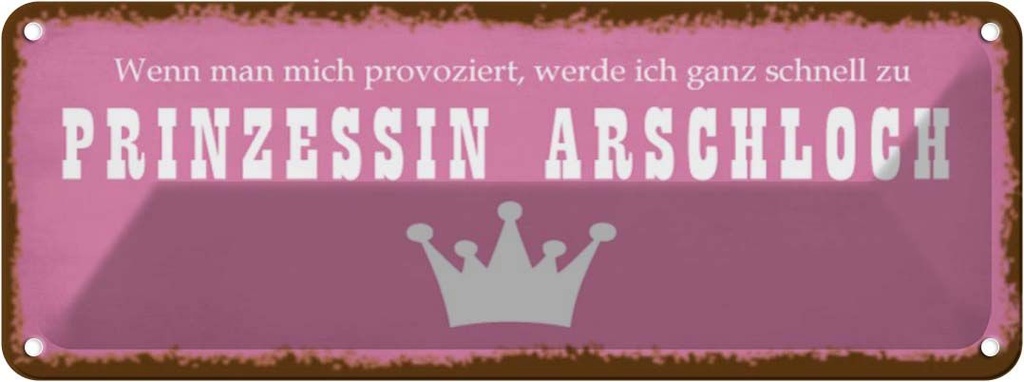 Blechschild 10x27 cm ich zu Prinzessin Arschloch Dekoration Spruch Zitat