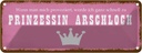 Blechschild 10x27 cm ich zu Prinzessin Arschloch Dekoration Spruch Zitat