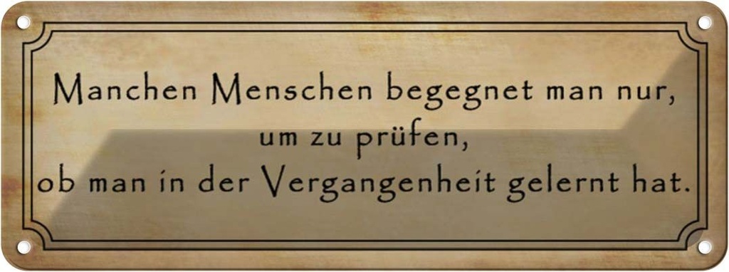 Blechschild 10x27 cm manche Menschen begegnet man nur Spruch Zitat