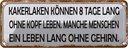 Blechschild 10x27 cm Kakerlaken ohne Kopf Menschen Dekoration Spruch Zitat