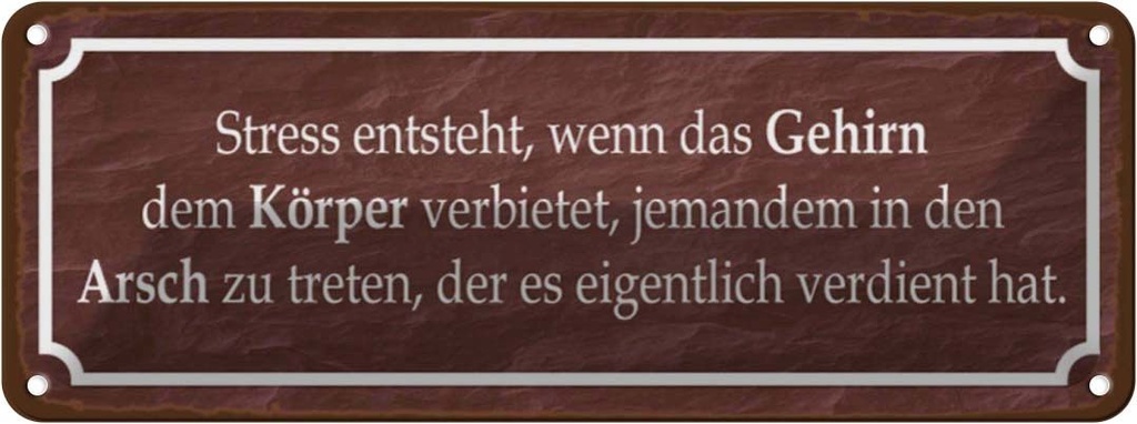 Blechschild 10x27 cm Stress entsteht wenn das Gehirn Spruch Zitat