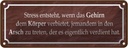 Blechschild 10x27 cm Stress entsteht wenn das Gehirn Spruch Zitat