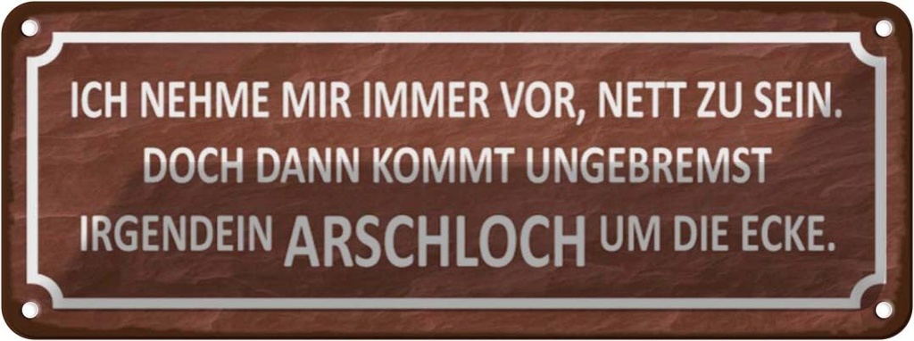 Blechschild 10x27 cm ich immer nett doch Arschloch Dekoration Spruch Zitat