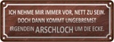 Blechschild 10x27 cm ich immer nett doch Arschloch Dekoration Spruch Zitat