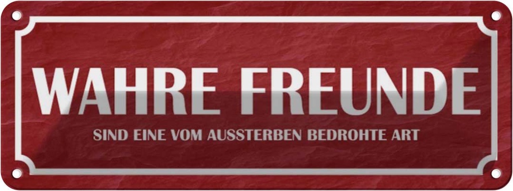 Blechschild 10x27 cm wahre Freunde Dekoration Spruch Zitat